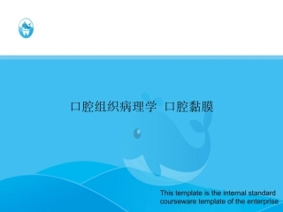 口腔组织病理学-口腔黏膜