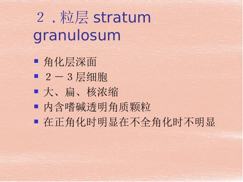 口腔组织病理学-口腔黏膜_第13页