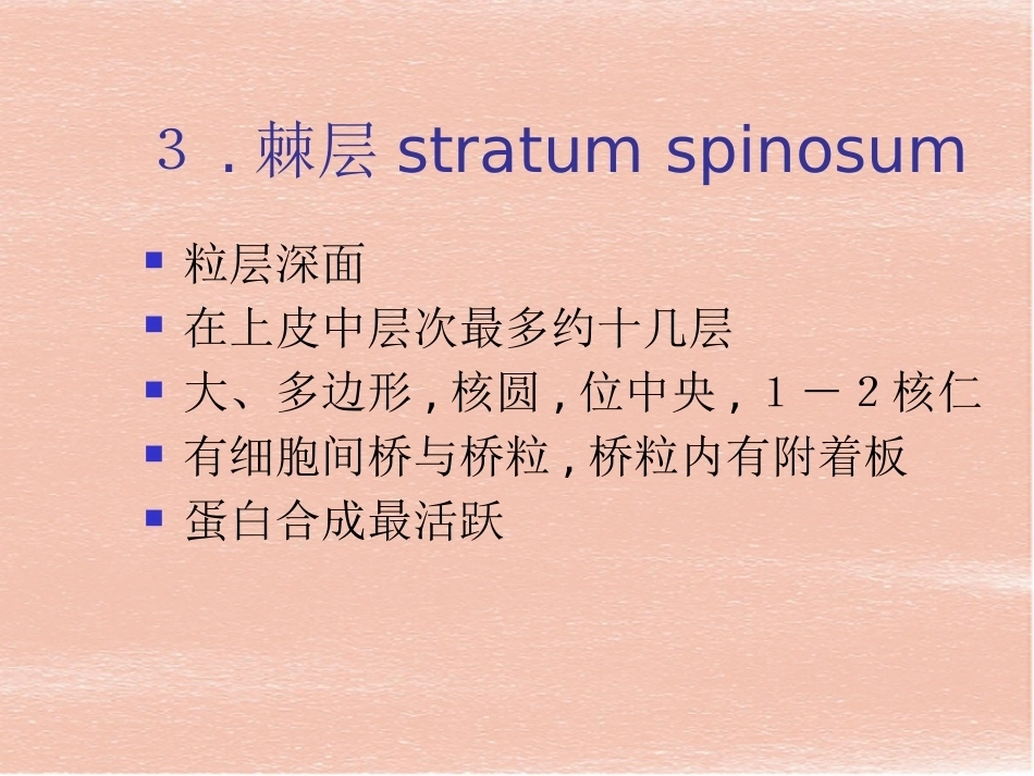 口腔组织病理学-口腔黏膜_第15页