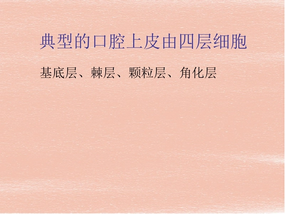 口腔组织病理学-口腔黏膜_第9页