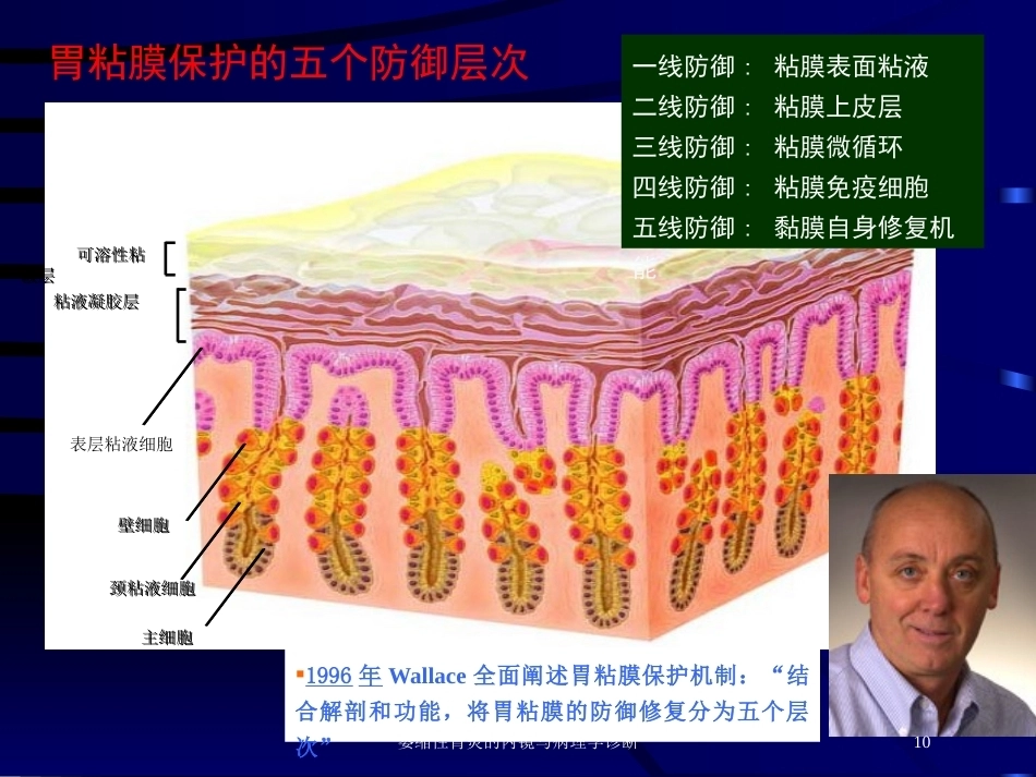 萎缩性胃炎的内镜与病理学诊断_第10页