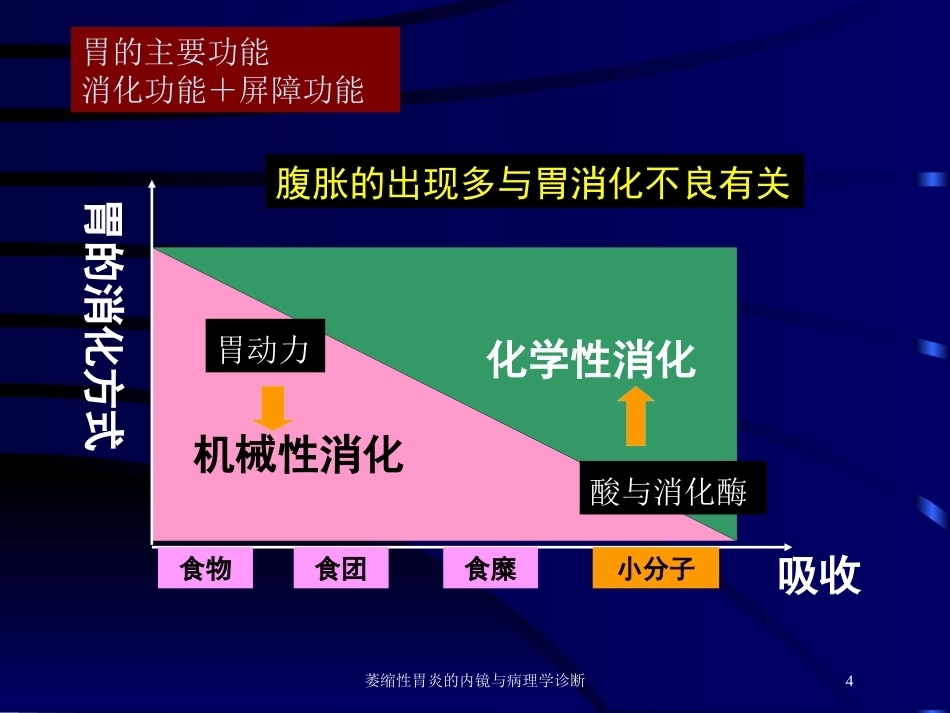 萎缩性胃炎的内镜与病理学诊断_第4页