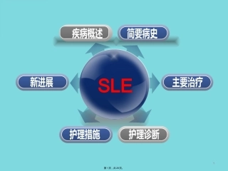 SLE妊娠合并系统性红斑狼疮