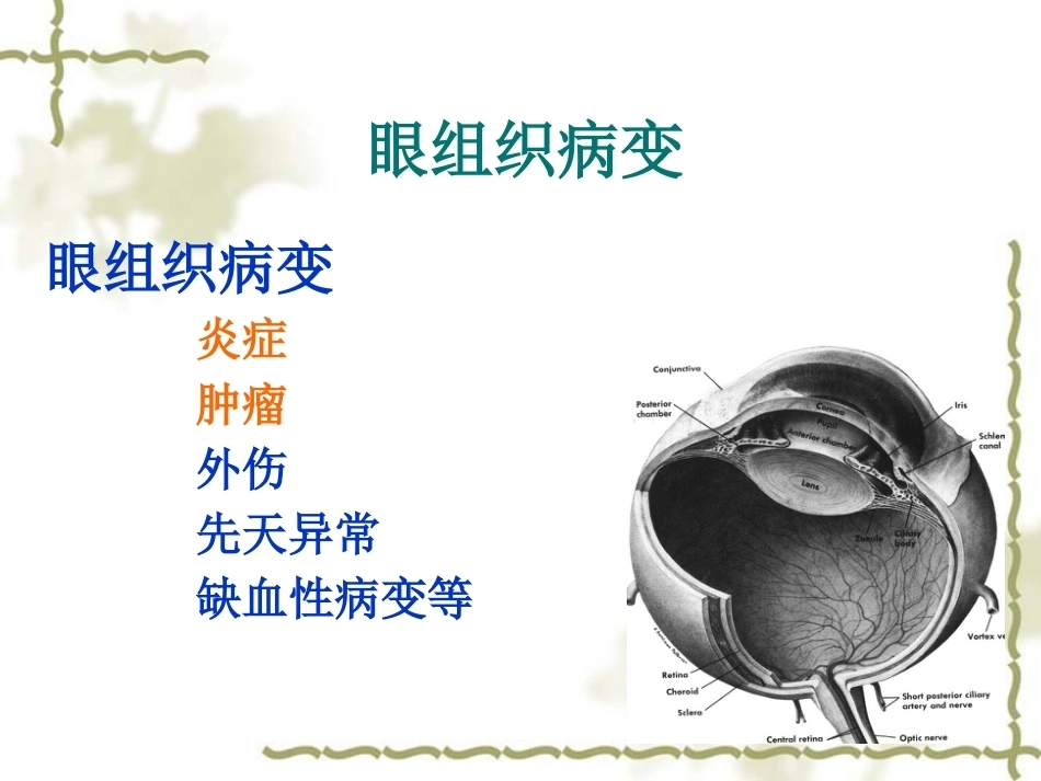 眼科病理学_第3页