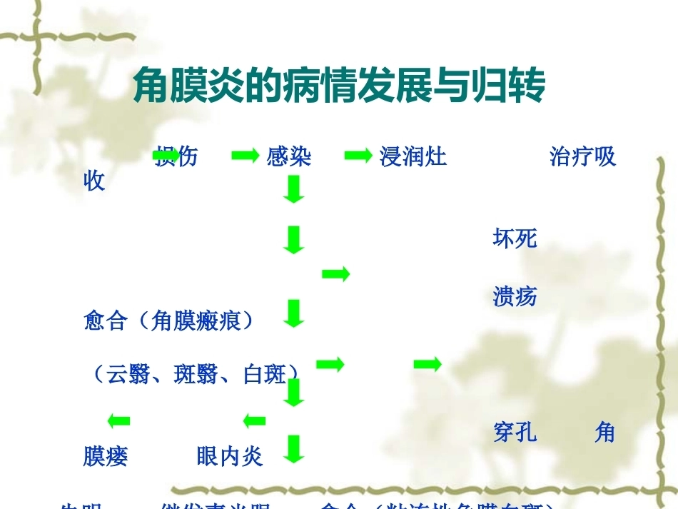 眼科病理学_第9页