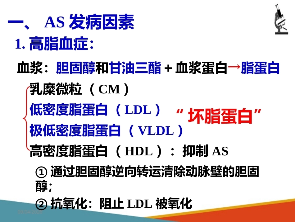心血管系统疾病—动脉粥样硬化(病理学课件)_第15页