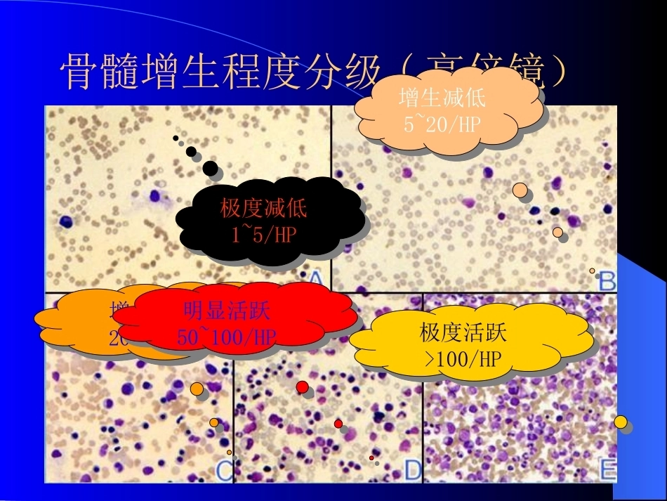 骨髓细胞学检查_第11页