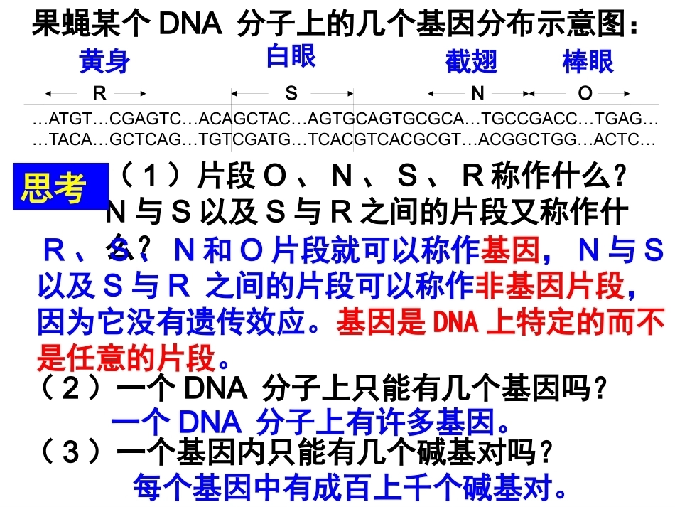 基因是有遗传效应的DNA片段PPT(上课用)_第11页
