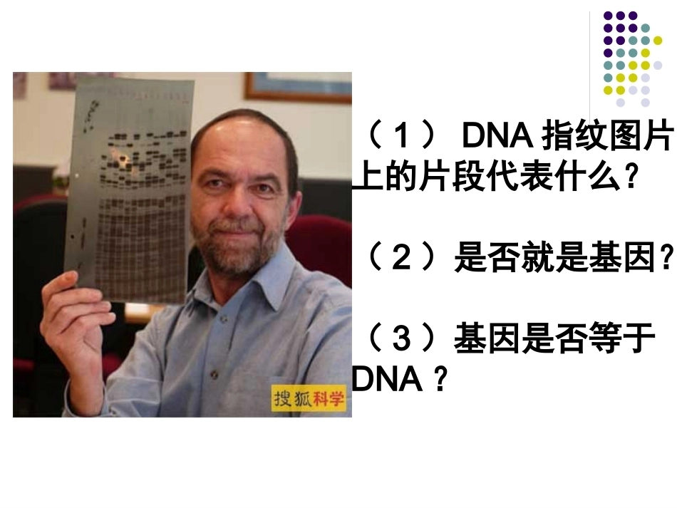 基因是有遗传效应的DNA片段PPT(上课用)_第3页