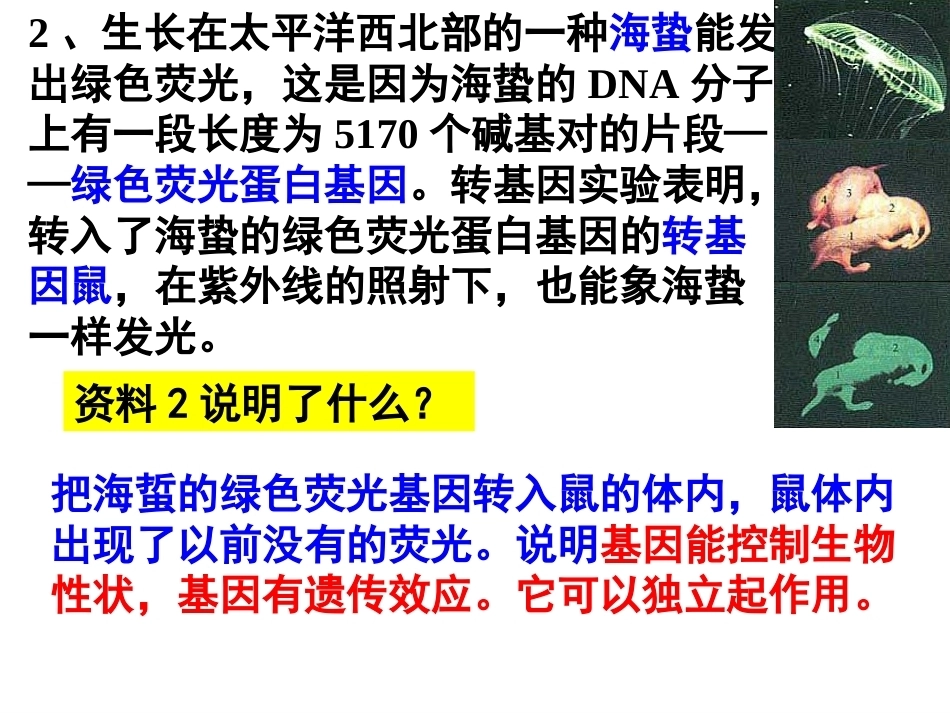 基因是有遗传效应的DNA片段PPT(上课用)_第8页