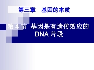 基因是有遗传效应的DNA片段PPT(上课用)