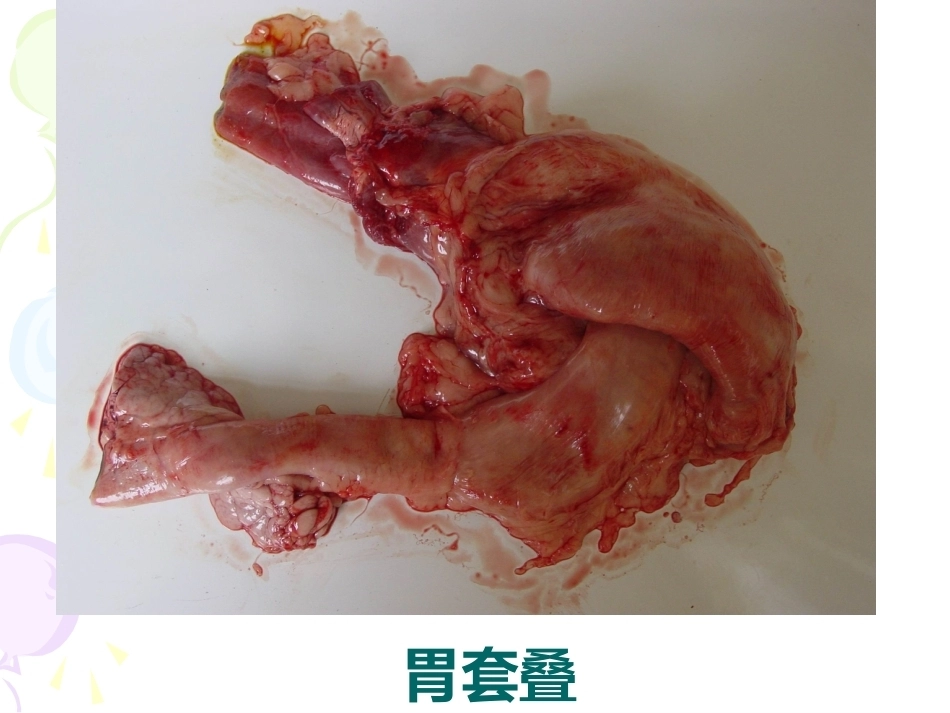 兽医病理学PPT 消化系统病理_第3页