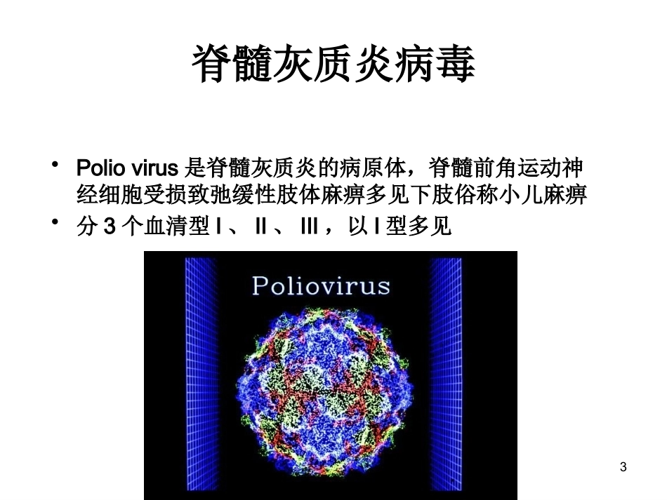 无包膜RNA病毒_第3页