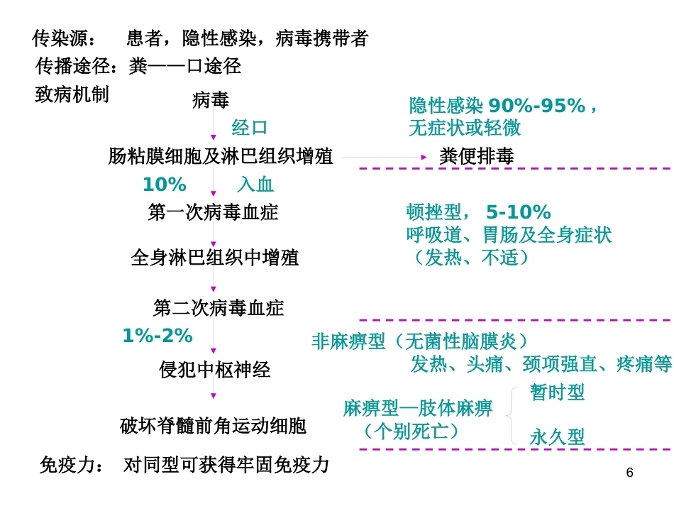无包膜RNA病毒_第6页