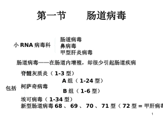 无包膜RNA病毒