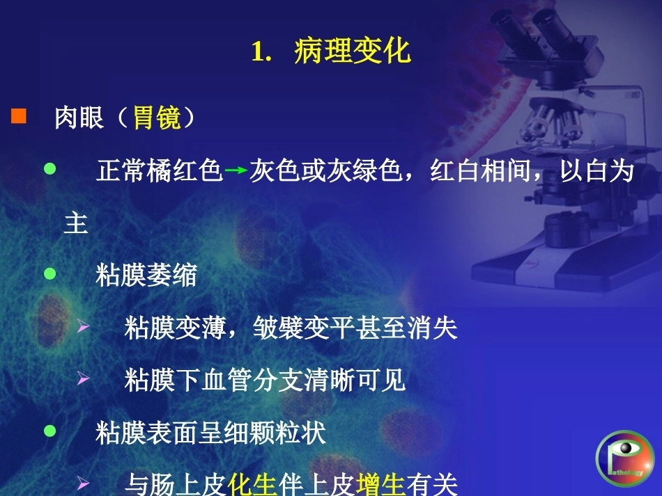 胃炎 病理学_第11页