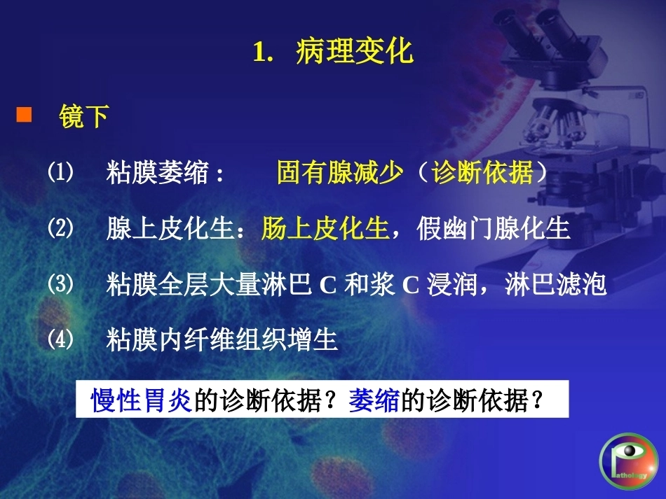 胃炎 病理学_第15页