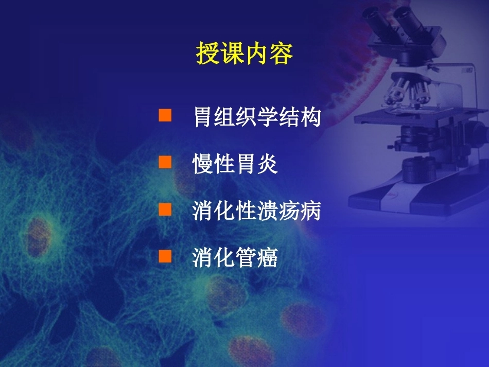 胃炎 病理学_第2页