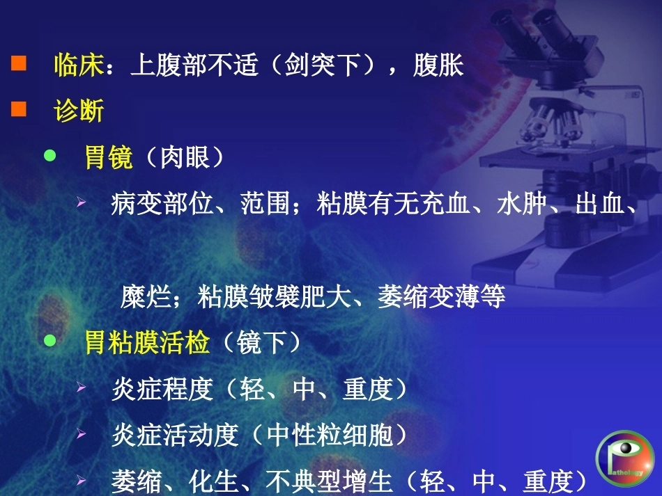 胃炎 病理学_第8页
