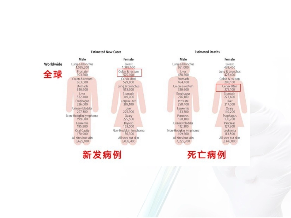 宫颈异常细胞学的处理_第7页
