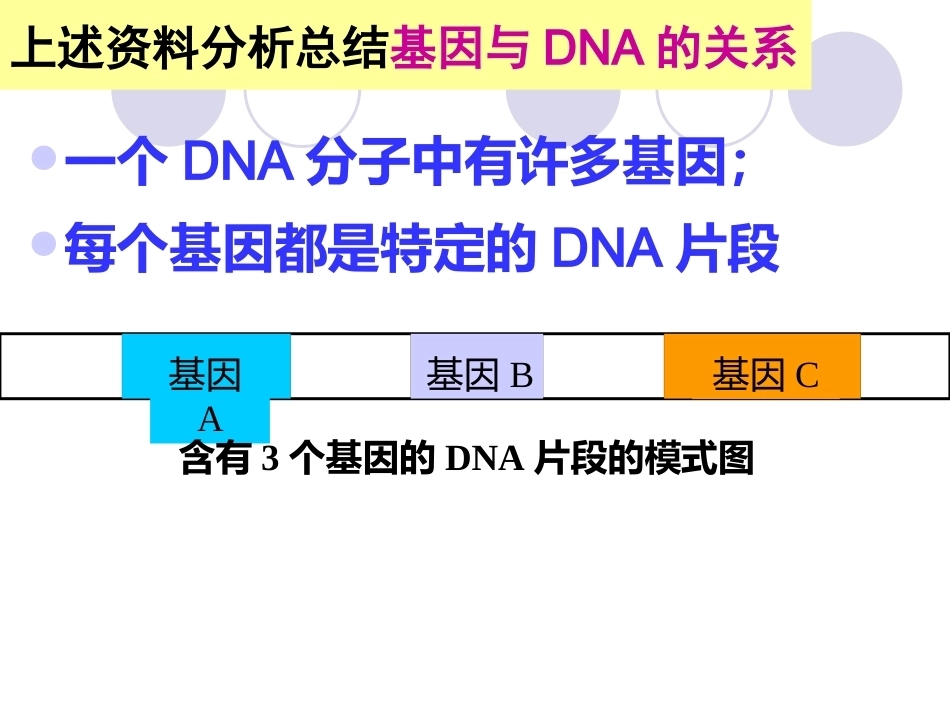 基因是具有遗传效应的DNA片段_第10页