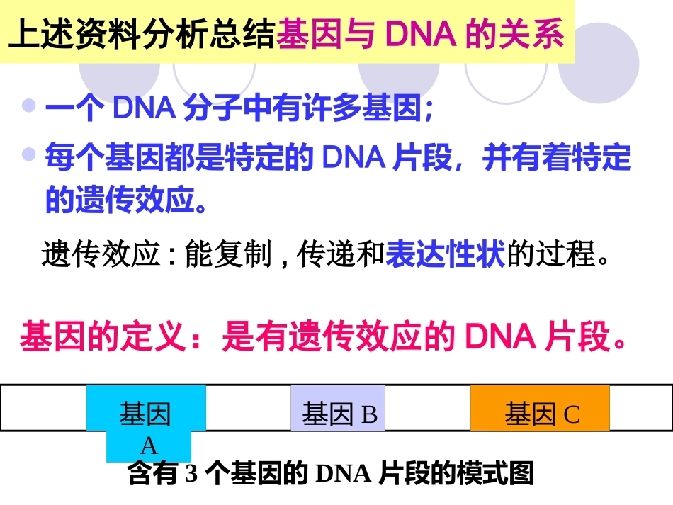基因是具有遗传效应的DNA片段_第13页