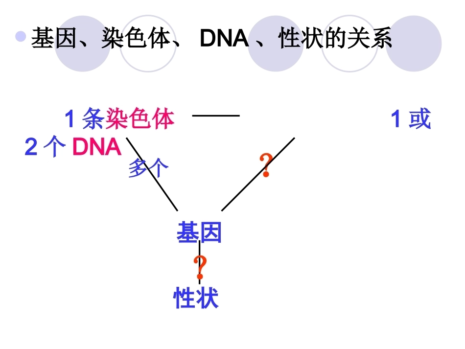 基因是具有遗传效应的DNA片段_第4页