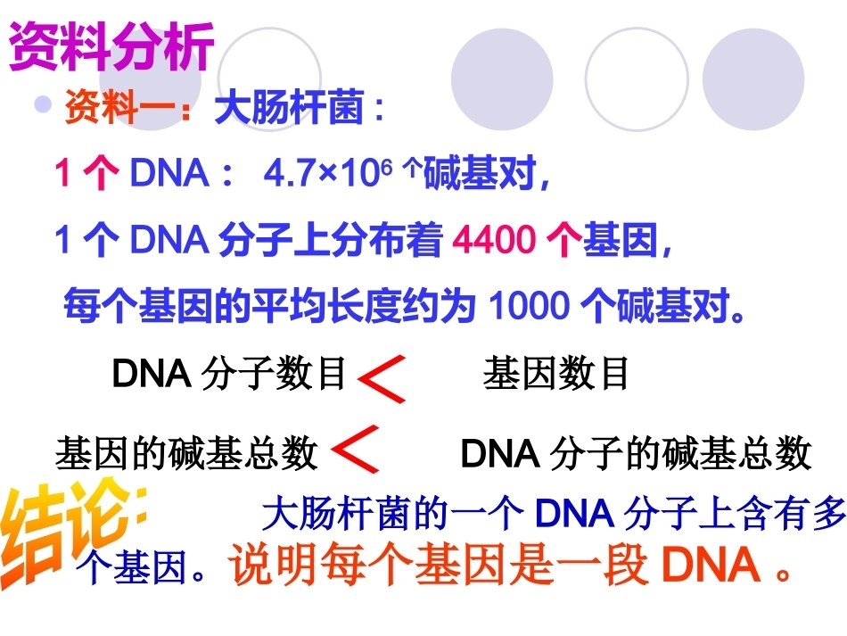 基因是具有遗传效应的DNA片段_第5页