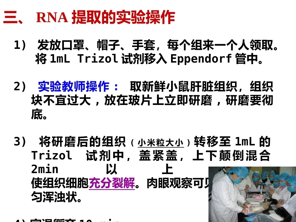 细胞总RNA提取及逆转录_第11页