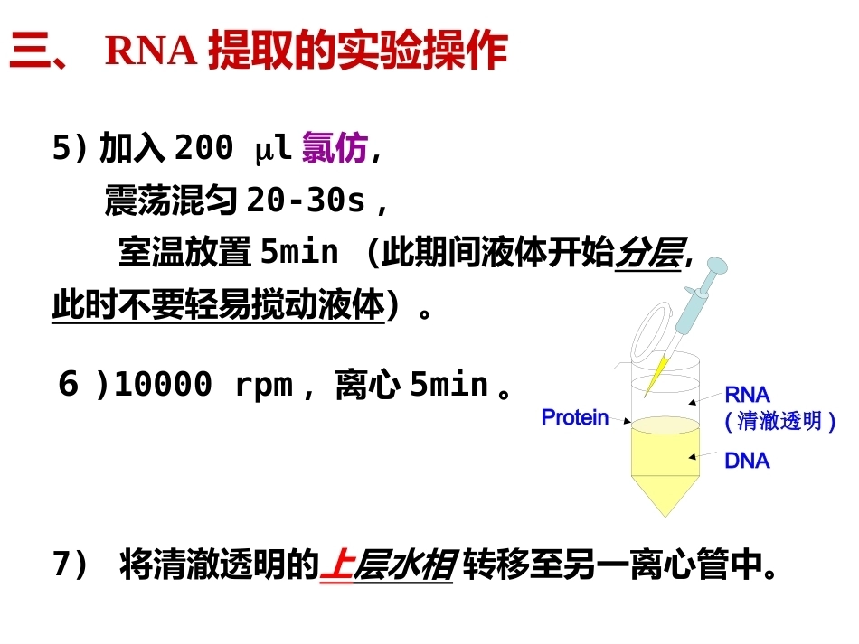细胞总RNA提取及逆转录_第14页