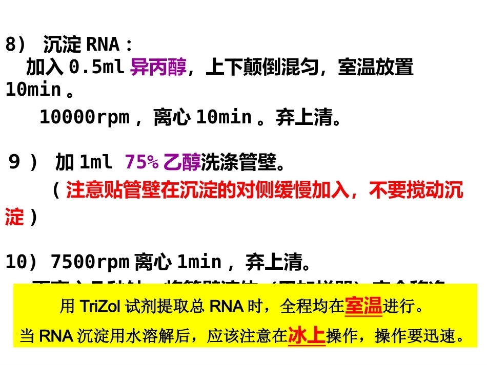 细胞总RNA提取及逆转录_第15页