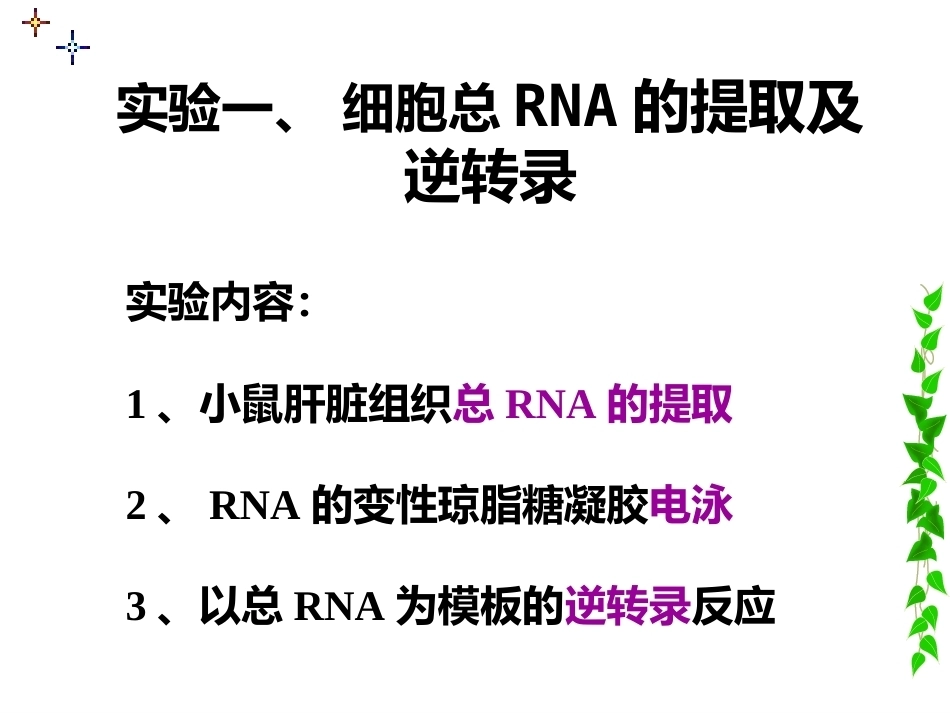 细胞总RNA提取及逆转录_第8页