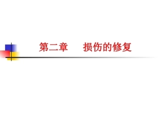 修复病理学