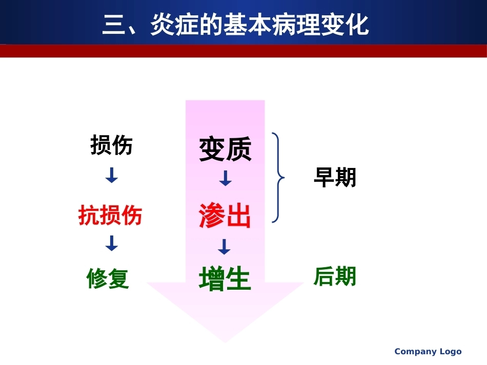 医学病理学 炎症_第11页