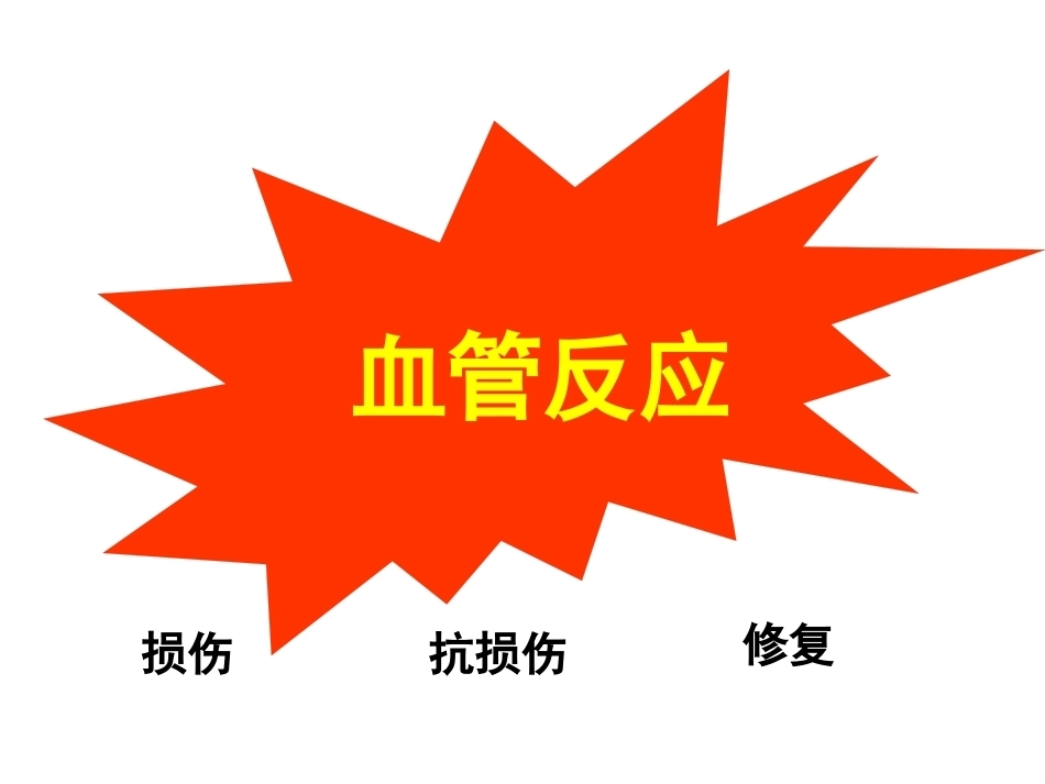 医学病理学 炎症_第8页