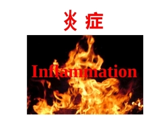 医学病理学 炎症