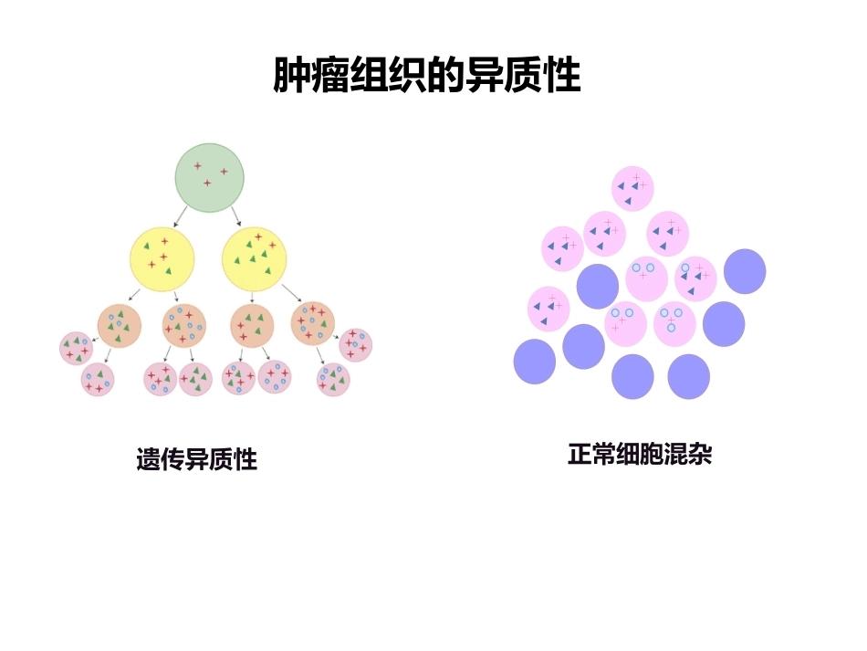 小标本和细胞学标本的基因检测(病理科)_第10页