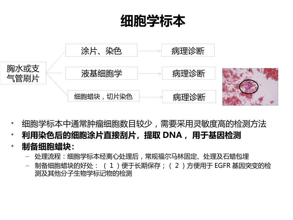 小标本和细胞学标本的基因检测(病理科)_第7页