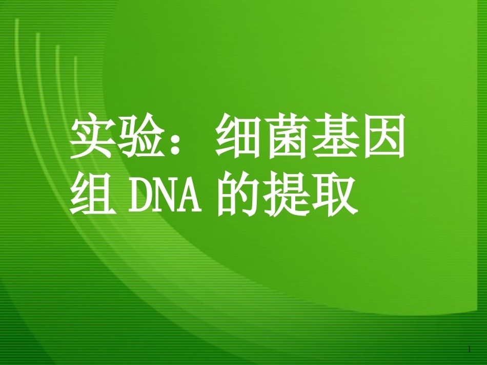 细菌基因组DNA的提取1_第1页