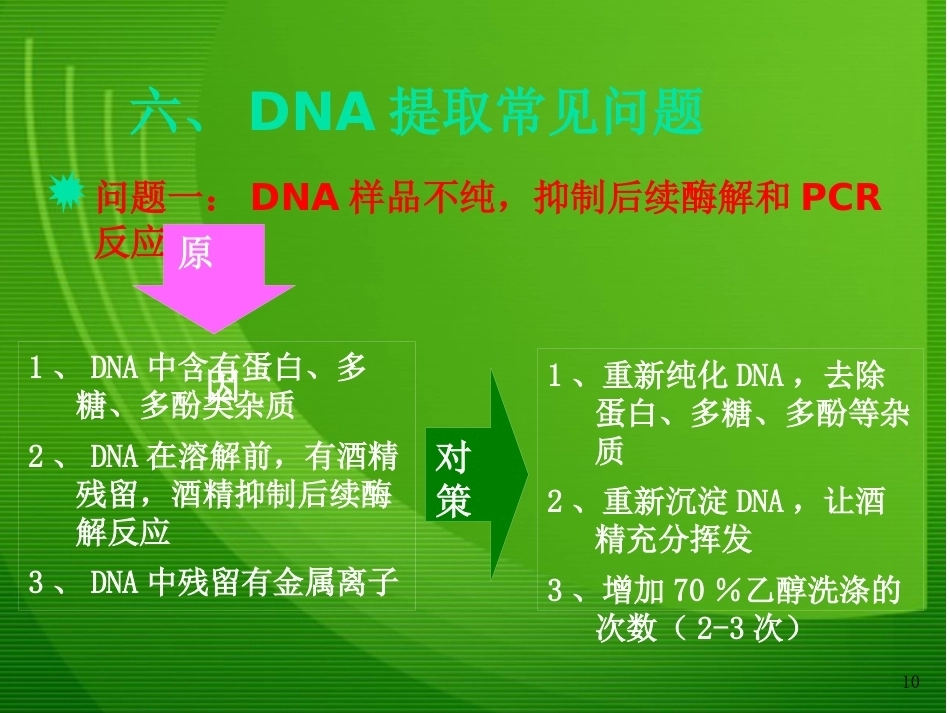 细菌基因组DNA的提取1_第10页