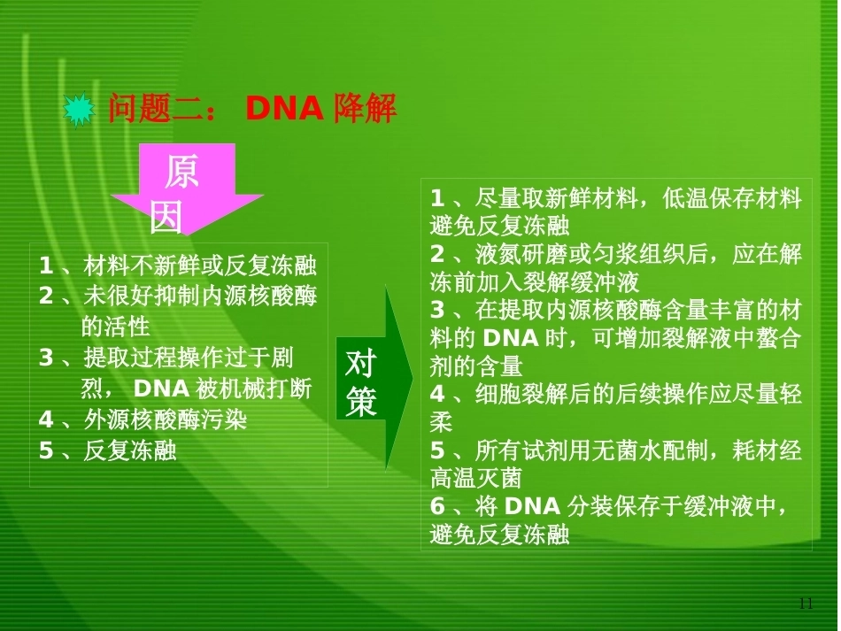 细菌基因组DNA的提取1_第11页