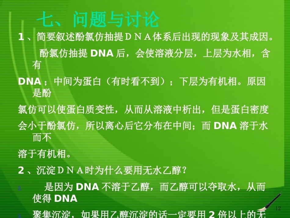 细菌基因组DNA的提取1_第12页
