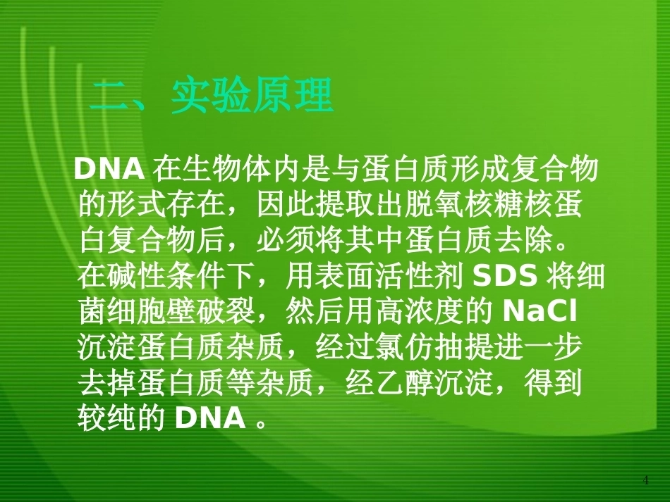 细菌基因组DNA的提取1_第4页