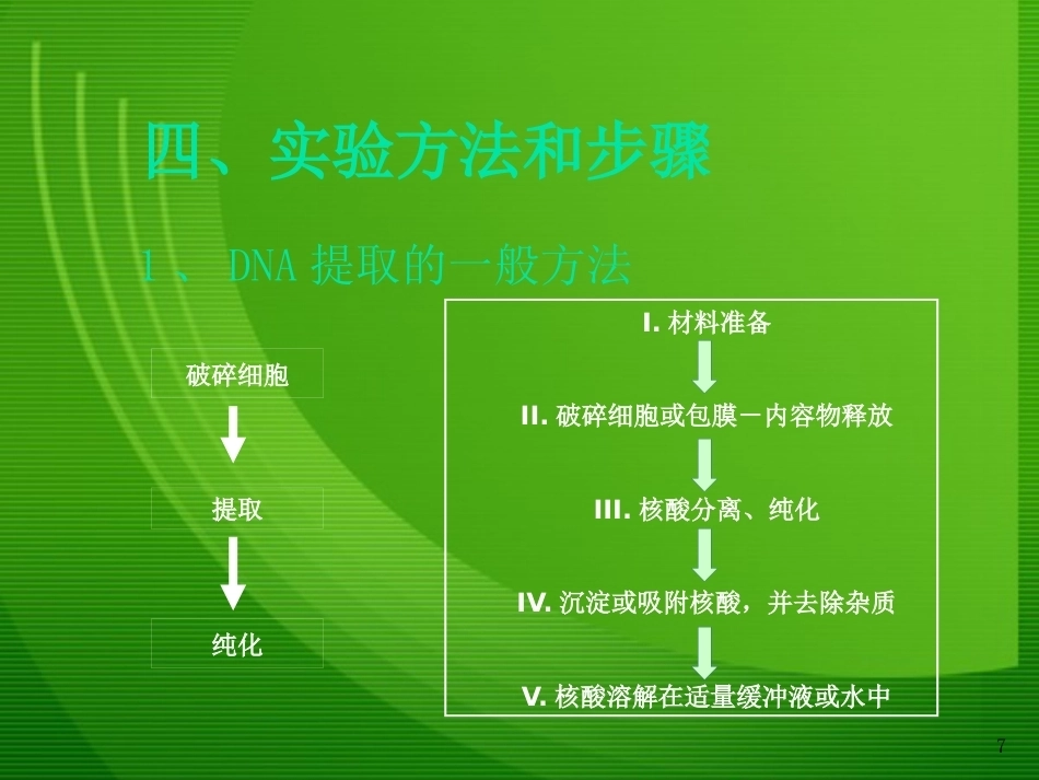 细菌基因组DNA的提取1_第7页