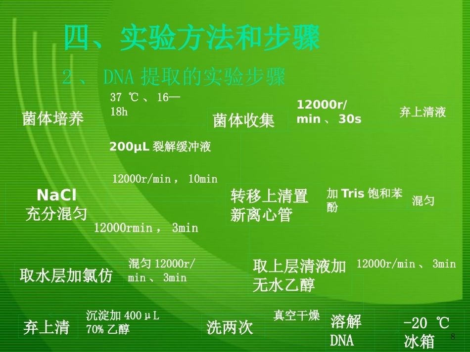 细菌基因组DNA的提取1_第8页