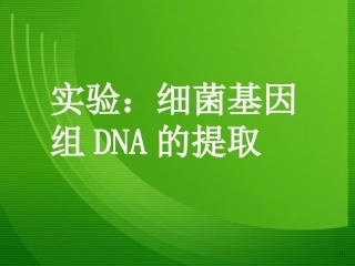 细菌基因组DNA的提取1