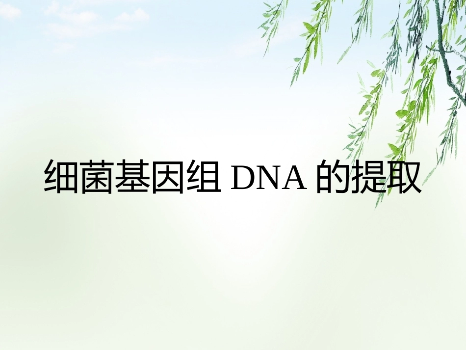 细菌基因组DNA的提取2_第1页