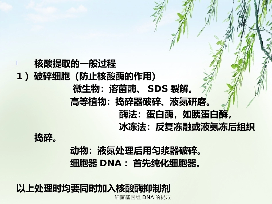 细菌基因组DNA的提取2_第10页