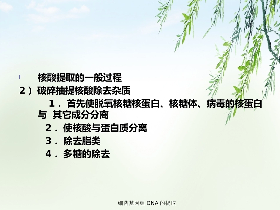 细菌基因组DNA的提取2_第11页