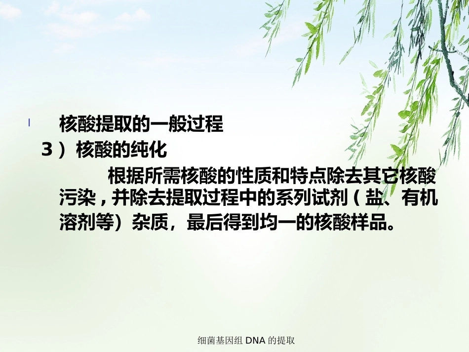 细菌基因组DNA的提取2_第12页
